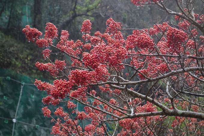 3月济州岛旅游游记,四月的济州岛机票