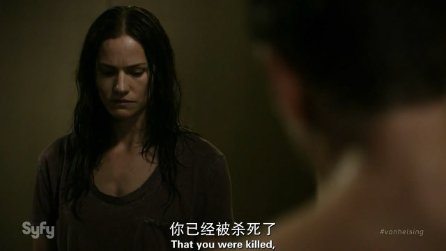 行尸走肉看完了推荐新剧,行尸走肉新剧推荐