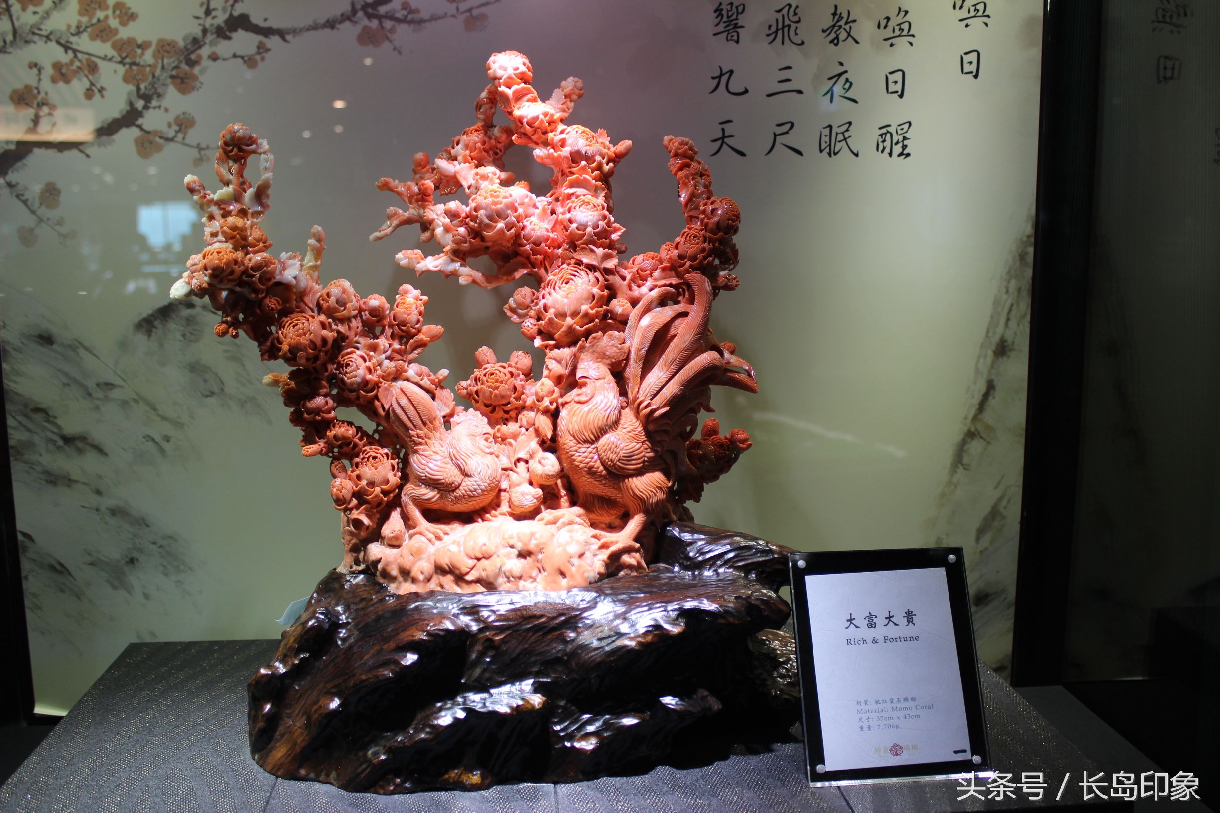 红珊瑚台湾寓意,台湾红珊瑚和日本红珊瑚的区别