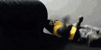 大师兄小师妹：人要是丑啊，别说桃花运，就是菊花运也没有啊！