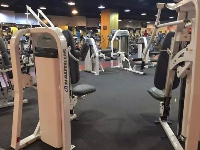 器械最多最全的健身房,健身设备最全的健身房
