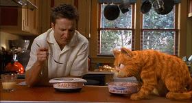 就让加菲毁掉你的中秋吧喵哈哈哈