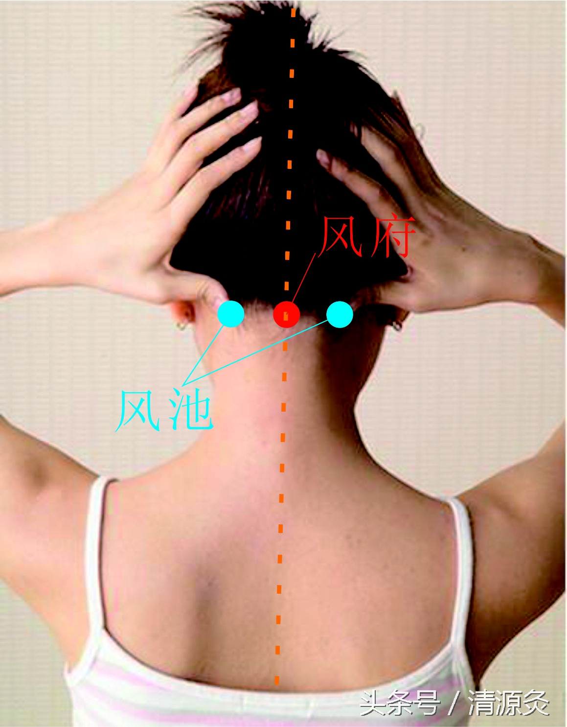 预防感冒神器,治感冒成年人神器