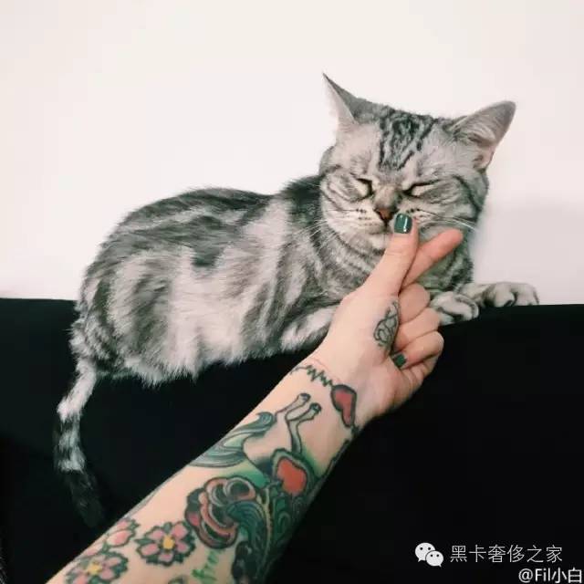 酷到无边际,下一任国产ItGirl就是她!