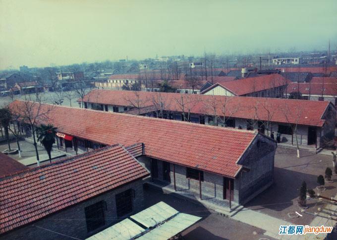 江都中学和大桥中学哪个好,那些年我们上过的历史课