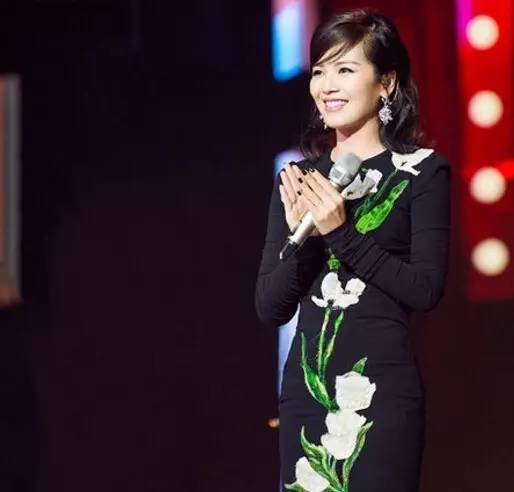 刘涛同款星星耳饰,刘涛同款珍珠耳环