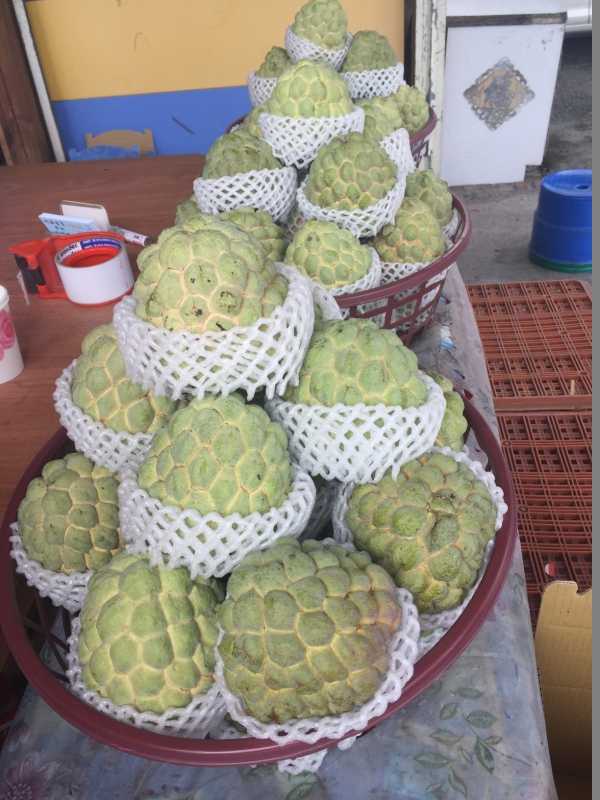 台湾最适合去哪里玩,在台湾哪个地方最适合旅游