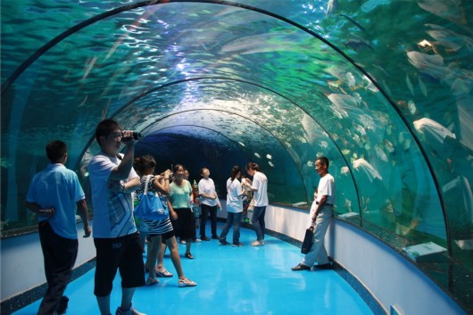 泉城海洋极地世界门票,泉城海洋极地世界儿童的收费标准