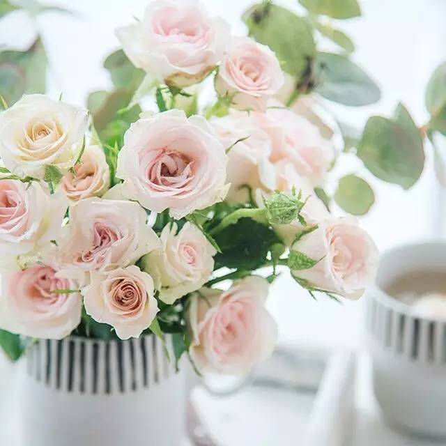 设绘主意X271期︱美食纪摄影西瓜