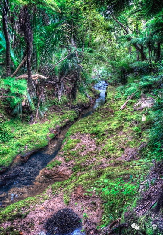 一张照片一段时光油画,随手一拍都是一幅画