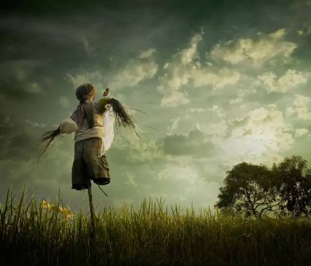 当你相信心灵鸡汤的时候,你不相信的东西就是鸡汤