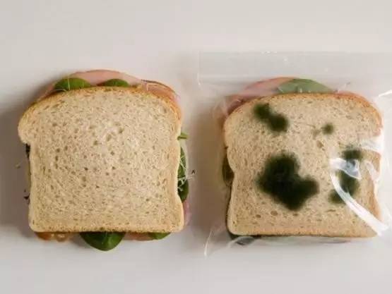 变质的食物有多可怕,变质后有毒的食物