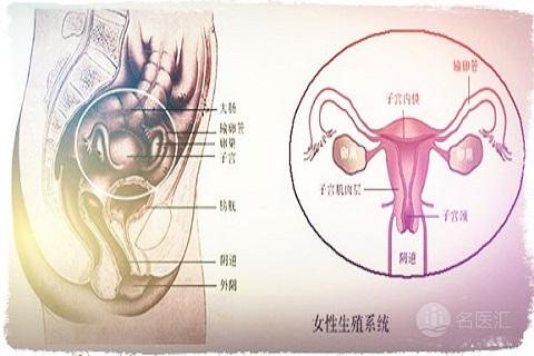 针灸治疗盆腔积液,治疗盆腔积液的中药