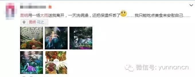 全省看雨模式开启今晨昆明堵出新境界吐槽归吐槽大家千万不要蹚水