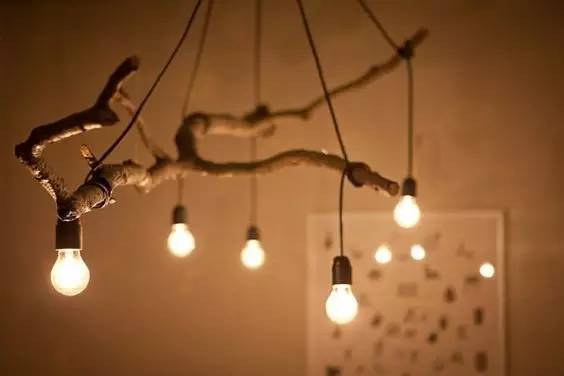 美爆了！台风过后，那些残根断枝竟然这么有用！赶紧学起来...