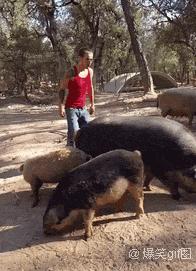 泳衣上有多根带子怎么穿,泳衣后背的带子怎么系