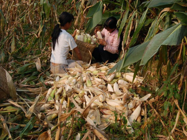 这十个最常见的农活你干过几个,农村比较辛苦的农活有哪些