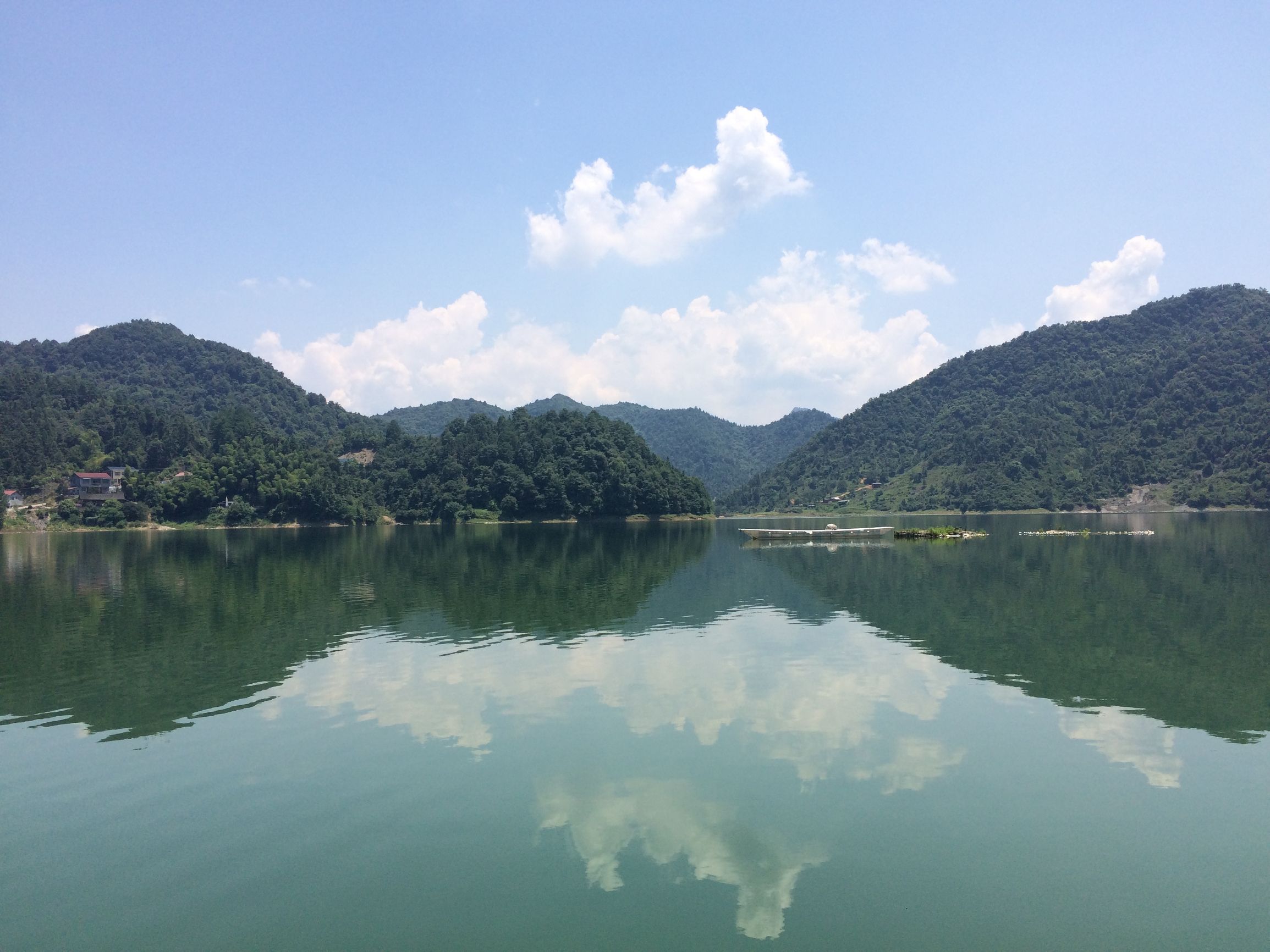 垂钓荒野之河中巨怪,荒野垂钓河中巨怪合集