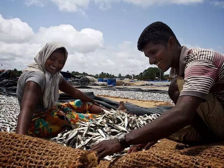 海岛旅游签证,海岛签证推荐