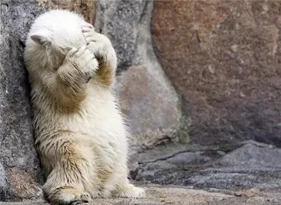 泰国100元人民币能买什么,在泰国100人民币能买到什么