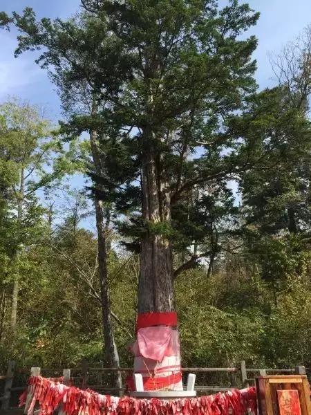 娼烘胶婧按缇庢櫙,娼烘胶娴佹按楦熻鑺遍灞辨竻姘寸