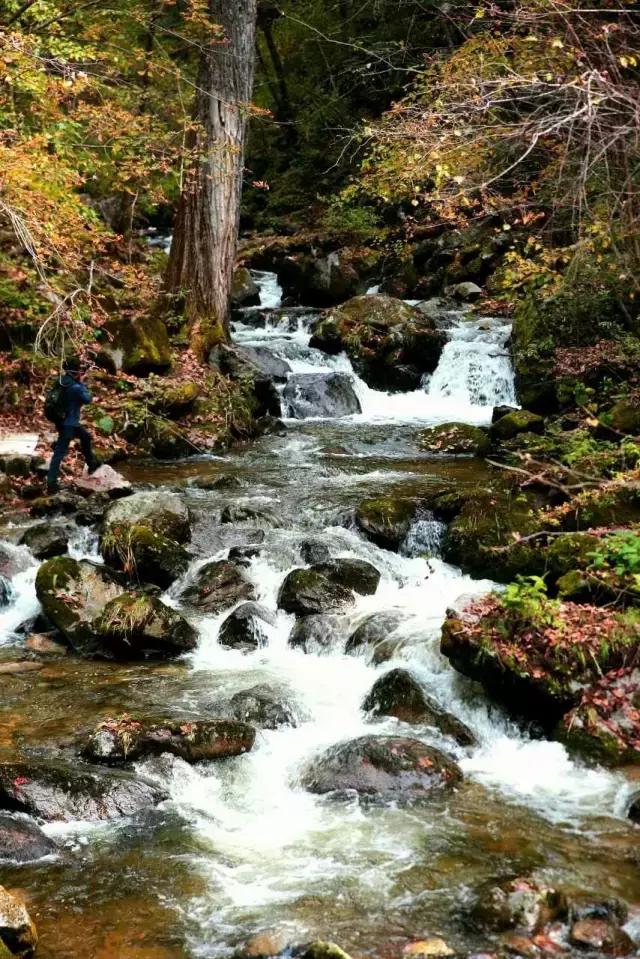 娼烘胶婧按缇庢櫙,娼烘胶娴佹按楦熻鑺遍灞辨竻姘寸