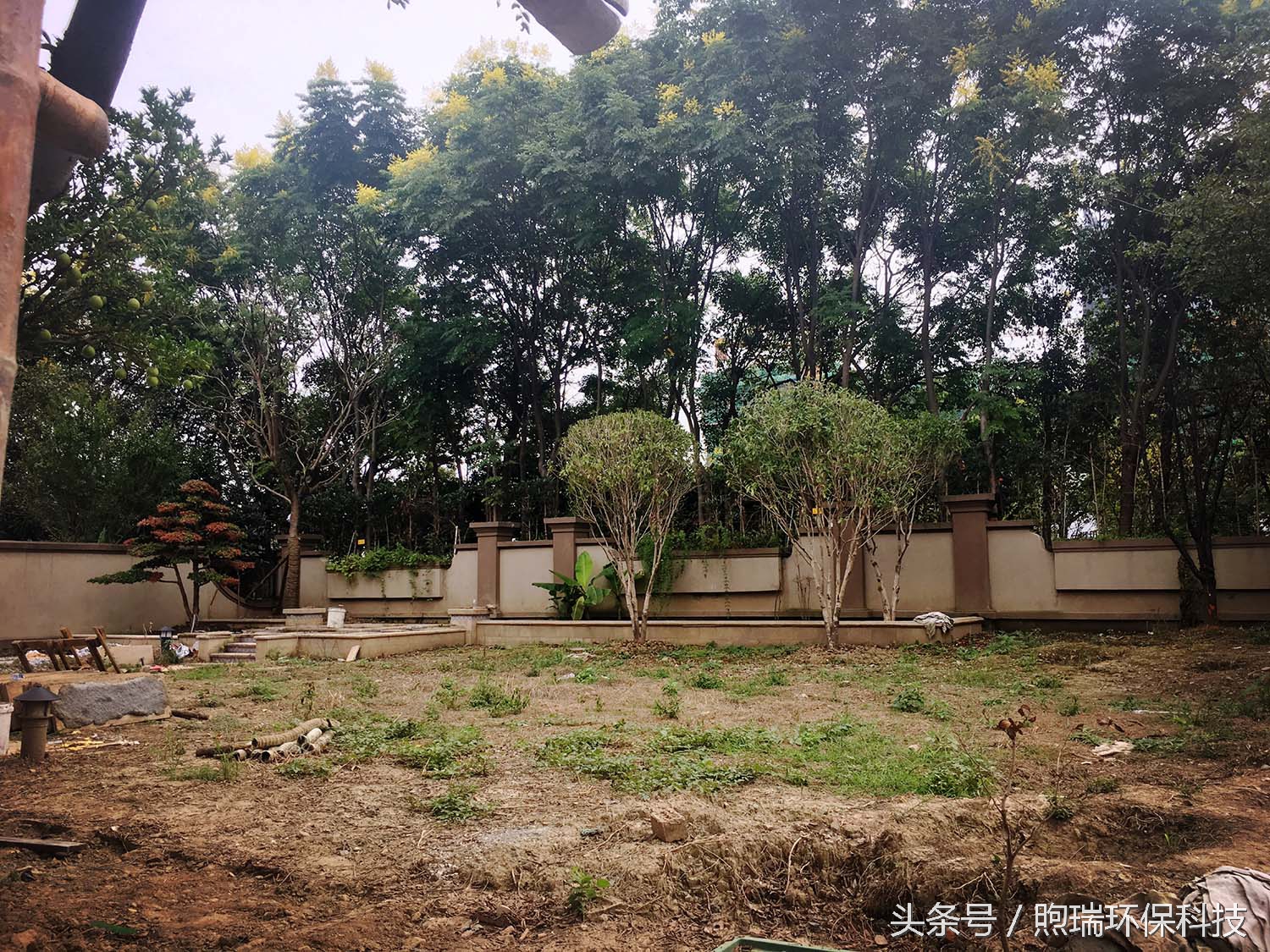 锦鲤鱼池花园庭院,最好看的长方形入户花园锦鲤鱼池