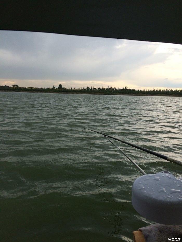 自配鲤鱼配方,自配鲤鱼饵配方