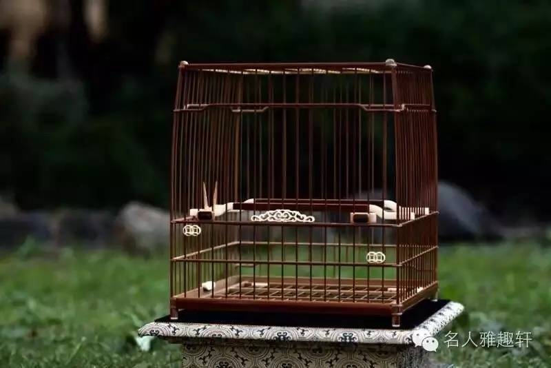 收藏东西一定要收集全吗,收藏一定要以藏养藏