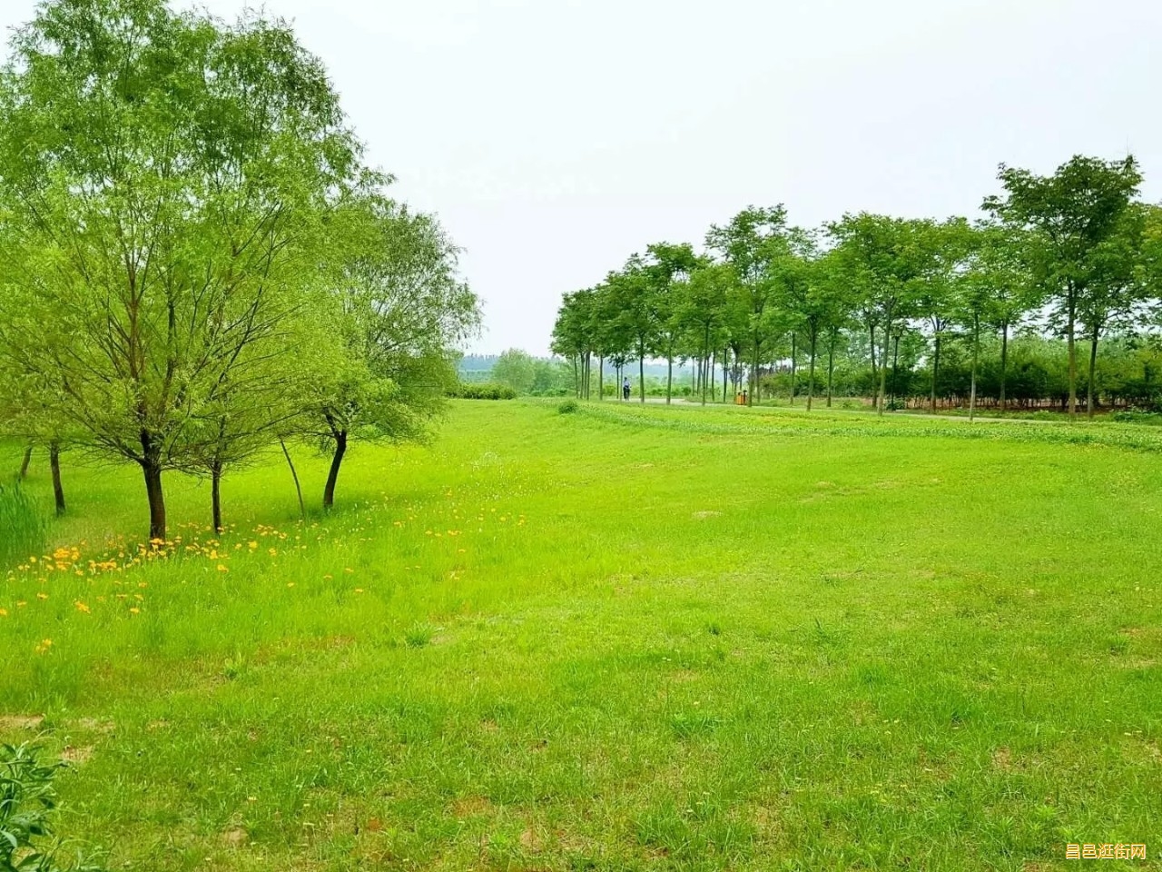 潍坊昌邑，一座如此好色之城，我的家乡我骄傲