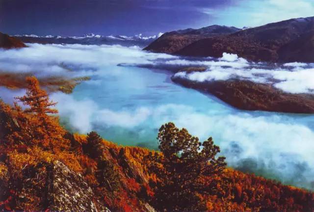 不需要知道你离世的理由，只愿你在天堂能重展笑容！