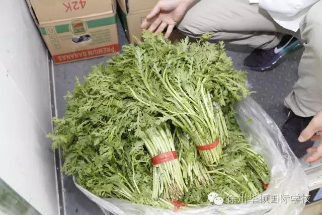 舌尖上的牛肉面吉华路店,舌尖上的美食华达