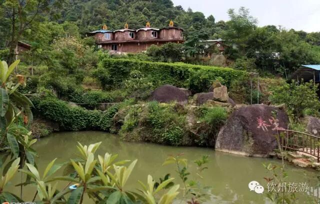 钦州周末出游攻略,钦州乡村旅游攻略