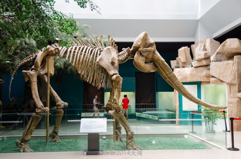 看完这5本书再也不焦虑了,看完攻略再玩游戏