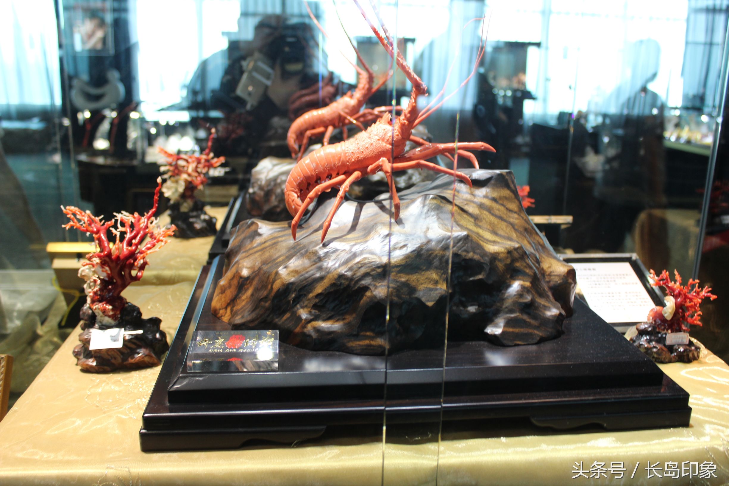 红珊瑚台湾寓意,台湾红珊瑚和日本红珊瑚的区别