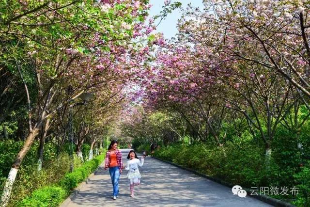 云阳县城市新区,云阳新变化有哪些