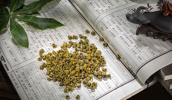 哪些人群不适合喝铁皮石斛,铁皮石斛的适合人群和功效