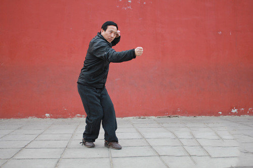 河南的拳种有哪些,河南三大拳