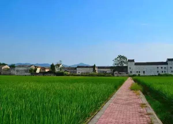 国庆佛山哪里好玩的景点适合小孩,佛山周边国庆旅游推荐好去处