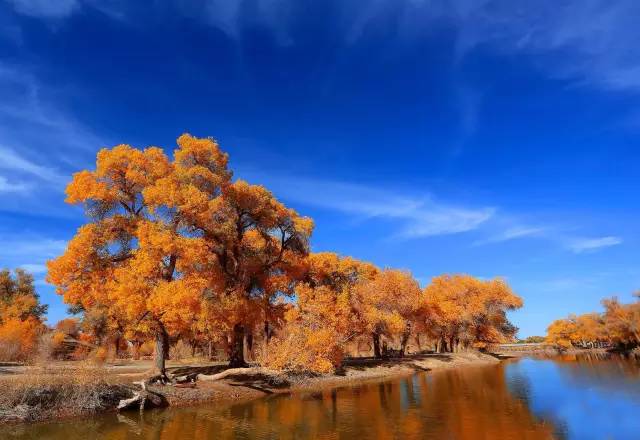 不需要知道你离世的理由，只愿你在天堂能重展笑容！