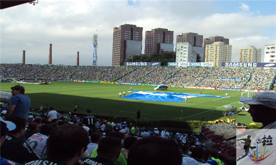 足球王国巴西足球史,巴西足球王国讲解