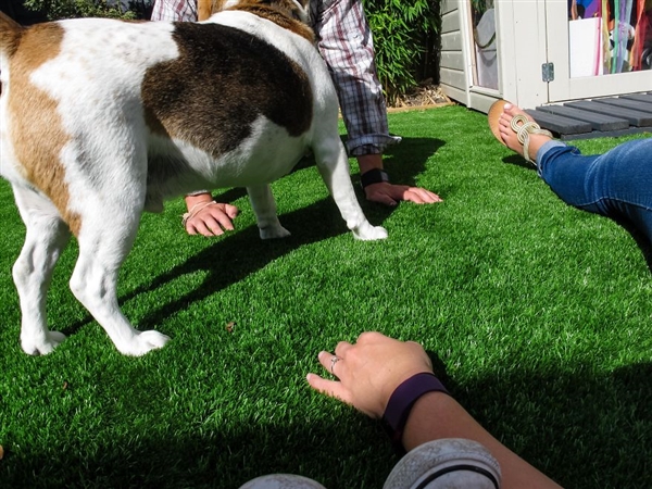 摄影师2岁宝宝拍照,最小年纪摄影师