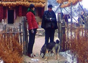 这就是我对你的态度,我只是要你一个态度