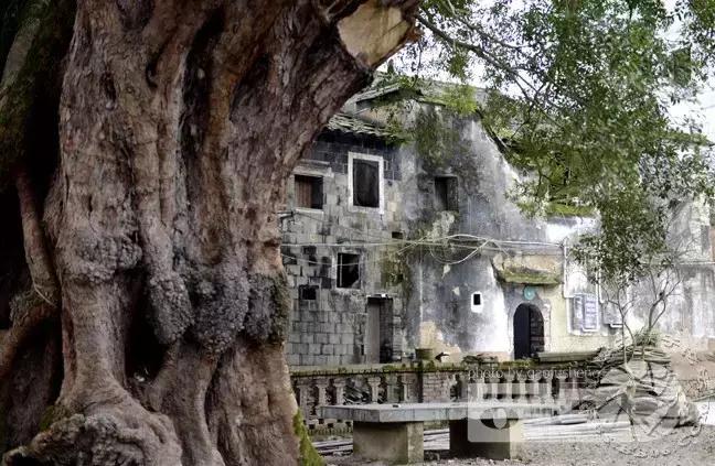 惠州周边自驾游推荐,广东惠州南昆山旅游攻略自驾游