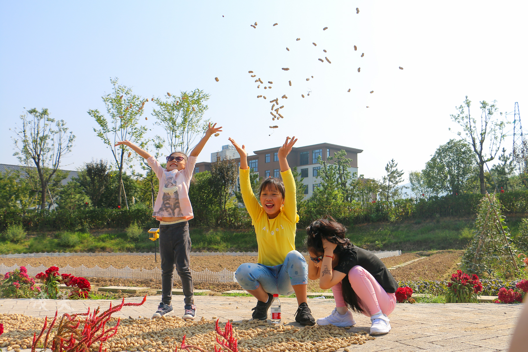 秀出浙江新高度,东阳凤凰谷天澜度假酒店儿童房