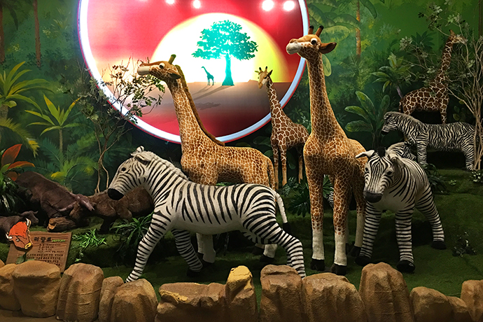 泰迪熊博物馆韩国购物,泰迪熊博物馆韩国图