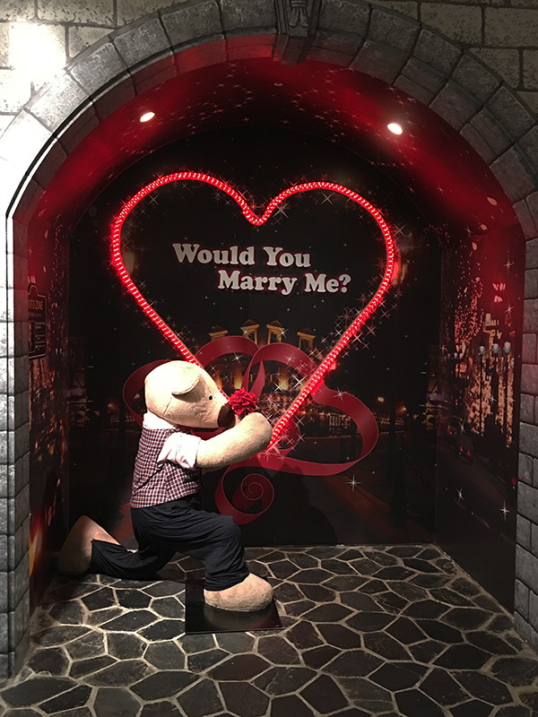 泰迪熊博物馆在韩国哪里,泰迪熊博物馆济州中文馆