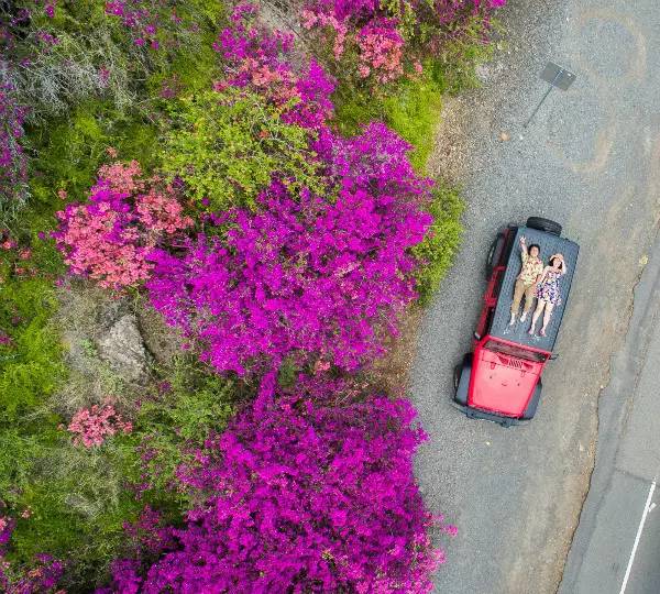 jeep指南者自驾游感受,在路上jeep美国