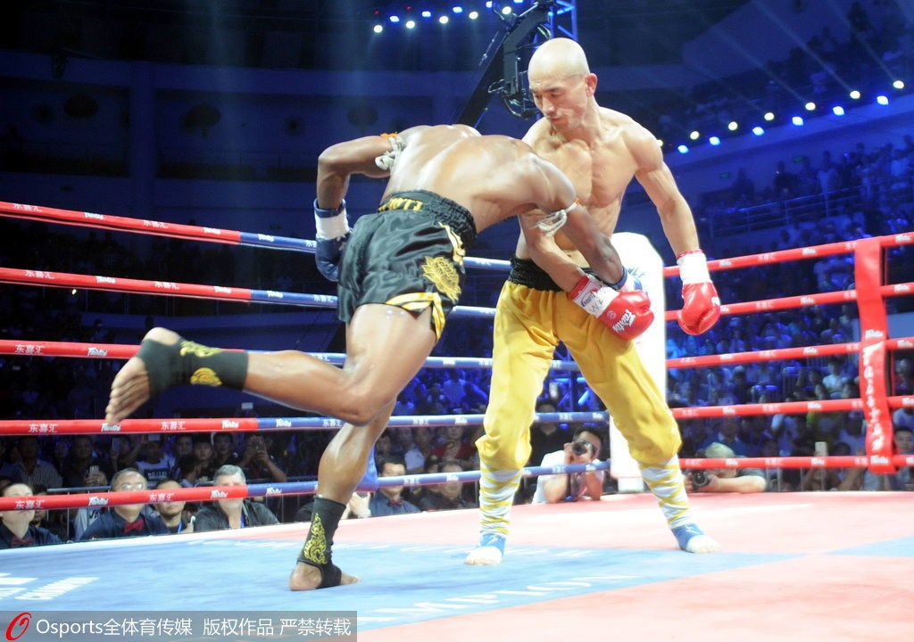 杨华评论视频,杨华一龙