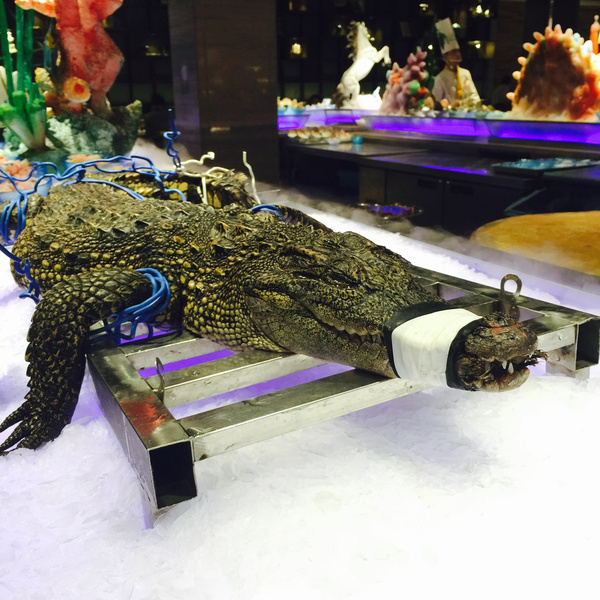 饕餮盛宴海鼎荟,厦门市海鼎荟自助餐